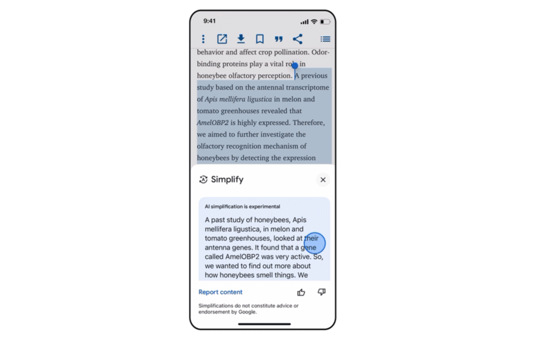 Google Simplify